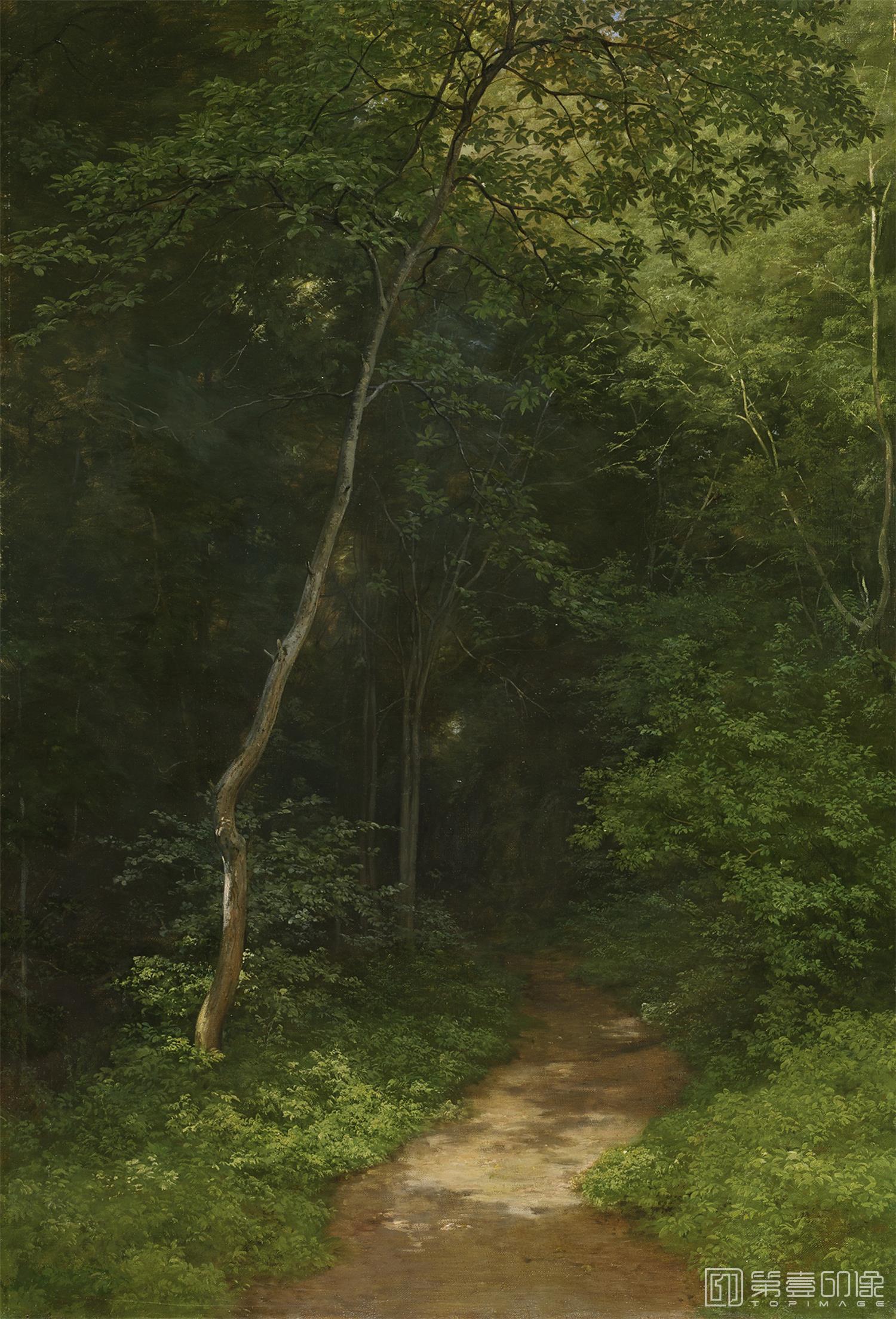 油画-伊凡·伊凡诺维奇·希施金 Ivan Shishkin作品集-59